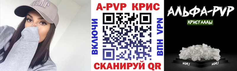Купить закладки  Жиздра  Альфа ПВП крисы CK 