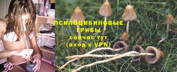 трава Лагань