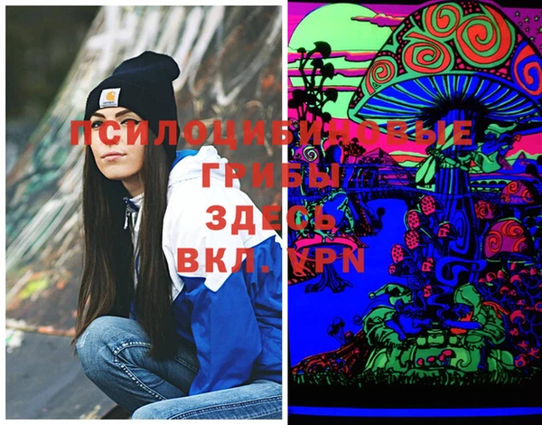 ECSTASY Ладушкин