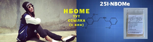сатива Лабытнанги
