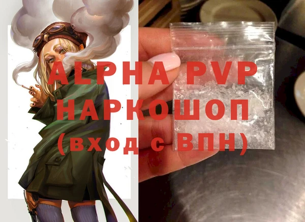 ECSTASY Ладушкин