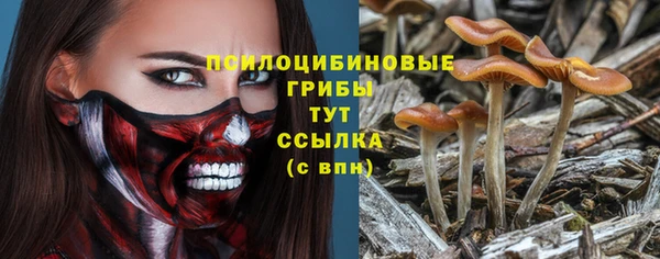сатива Лабытнанги