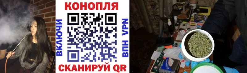 Купить закладки  Жиздра  Каннабис ГИДРОПОН 
